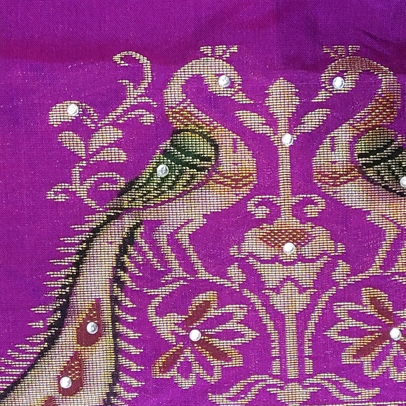 Beautiful Sari - Picture 5 of 14